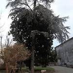 Laquartasola * Roverchiara