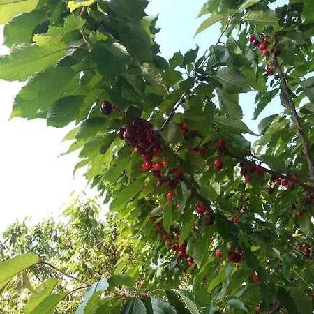 Laquartasola Roverchiara