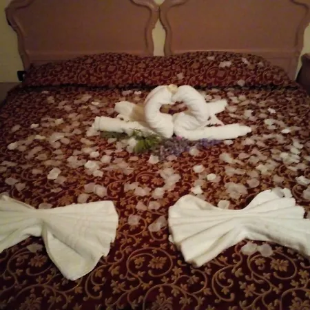 팜스테이 Laquartasola