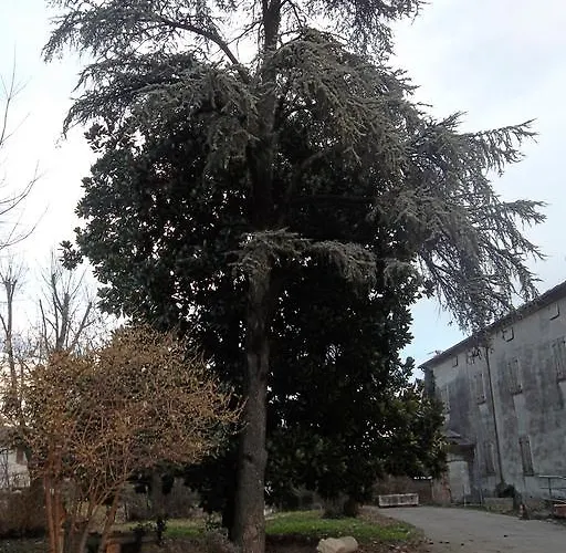 Laquartasola * Roverchiara